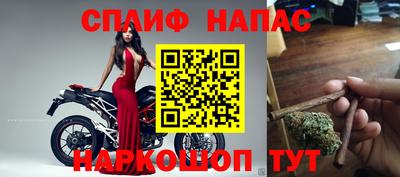 гидра Изобильный